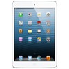 Apple iPad mini 16Gb Wi-Fi + Cellular белый - Карталы
